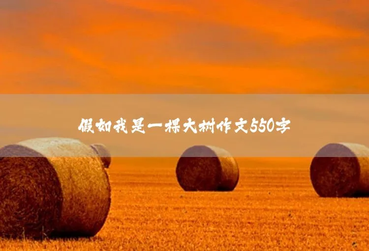 生活中的小镜头作文550字 - 悟空体育